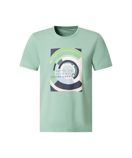 Мужская футболка короткий рукав  C5 21050.2101/5024