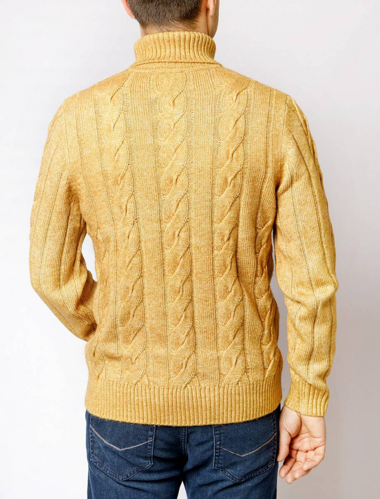 Мужская водолазка  C5 50753.5047/8016