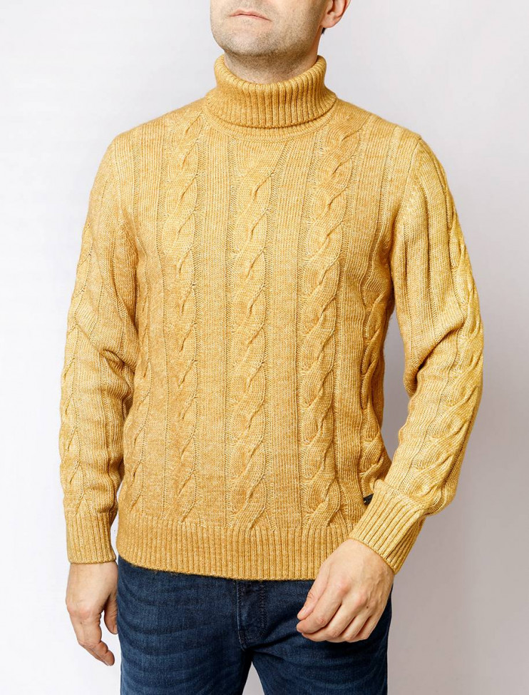 Мужская водолазка  C5 50753.5047/8016