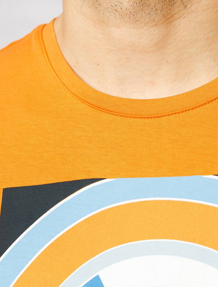 Мужская футболка короткий рукав  C5 21050.2101/3112