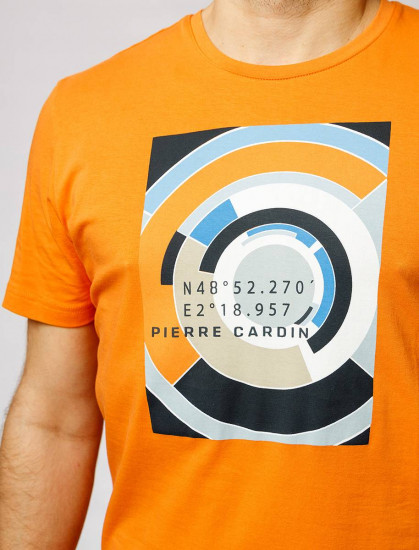 Мужская футболка короткий рукав  C5 21050.2101/3112