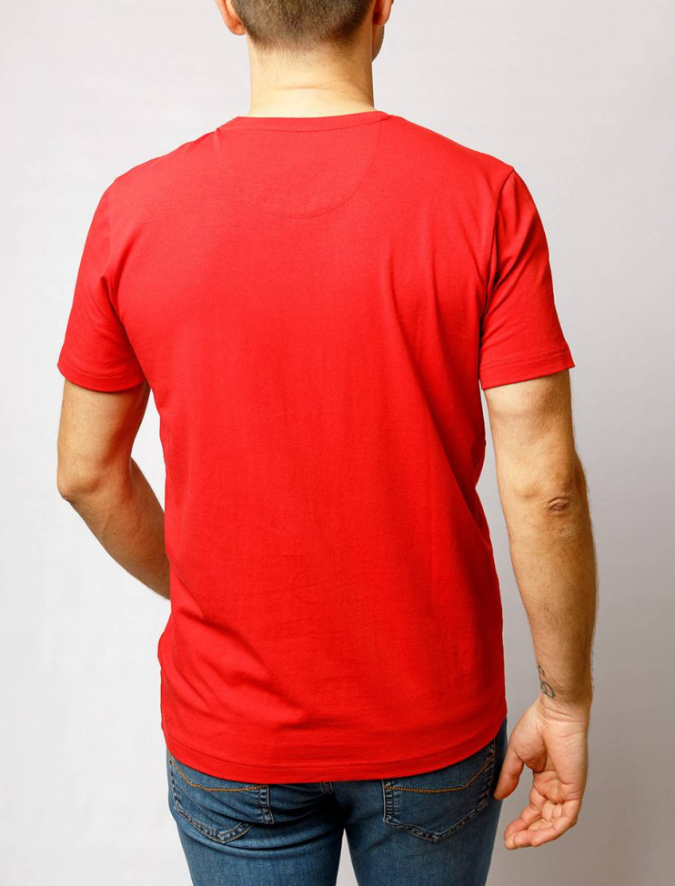 Мужская футболка короткий рукав  C5 21050.2101/4103