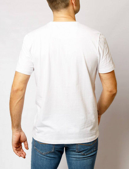 Мужская футболка короткий рукав  C5 21050.2101/1019