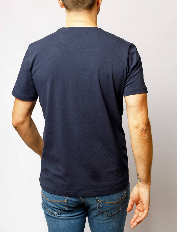 Мужская футболка короткий рукав  C5 21060.2102/6323