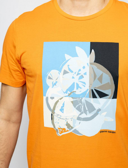 Мужская футболка короткий рукав  C5 21070.2103/3112