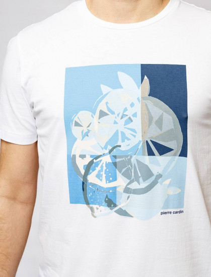 Мужская футболка короткий рукав  C5 21070.2103/1019