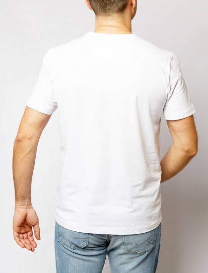 Мужская футболка короткий рукав  C5 21070.2103/1019