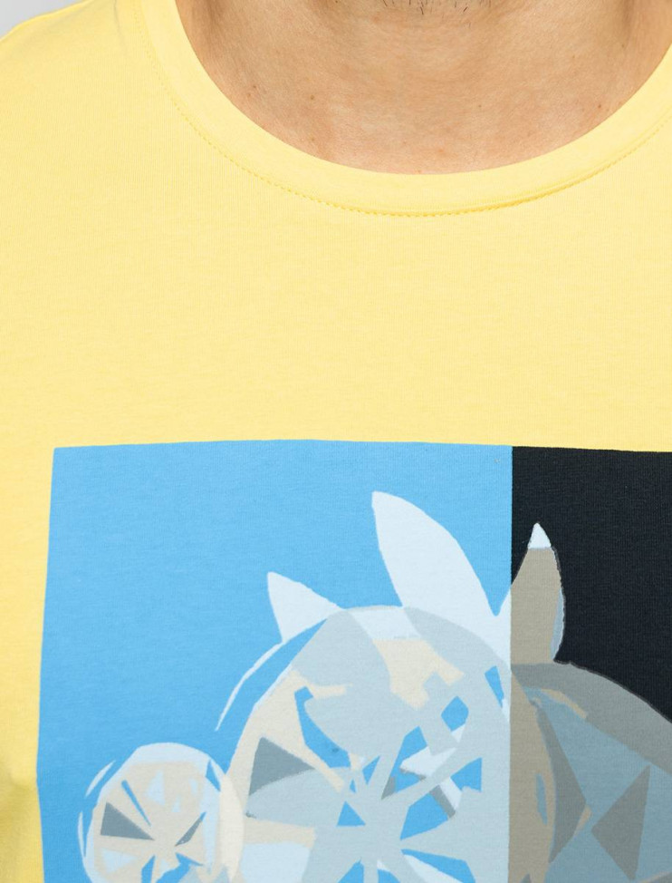 Мужская футболка короткий рукав  C5 21070.2103/2109