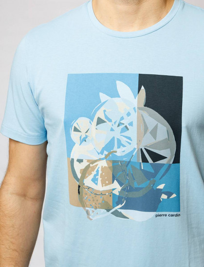 Мужская футболка короткий рукав  C5 21070.2103/6027