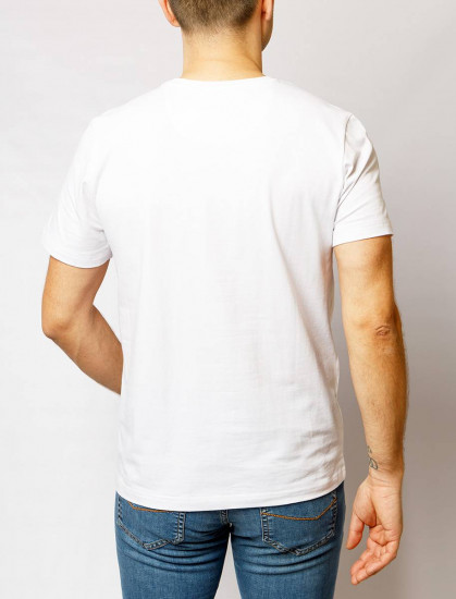 Мужская футболка короткий рукав  C5 21080.2104/1019