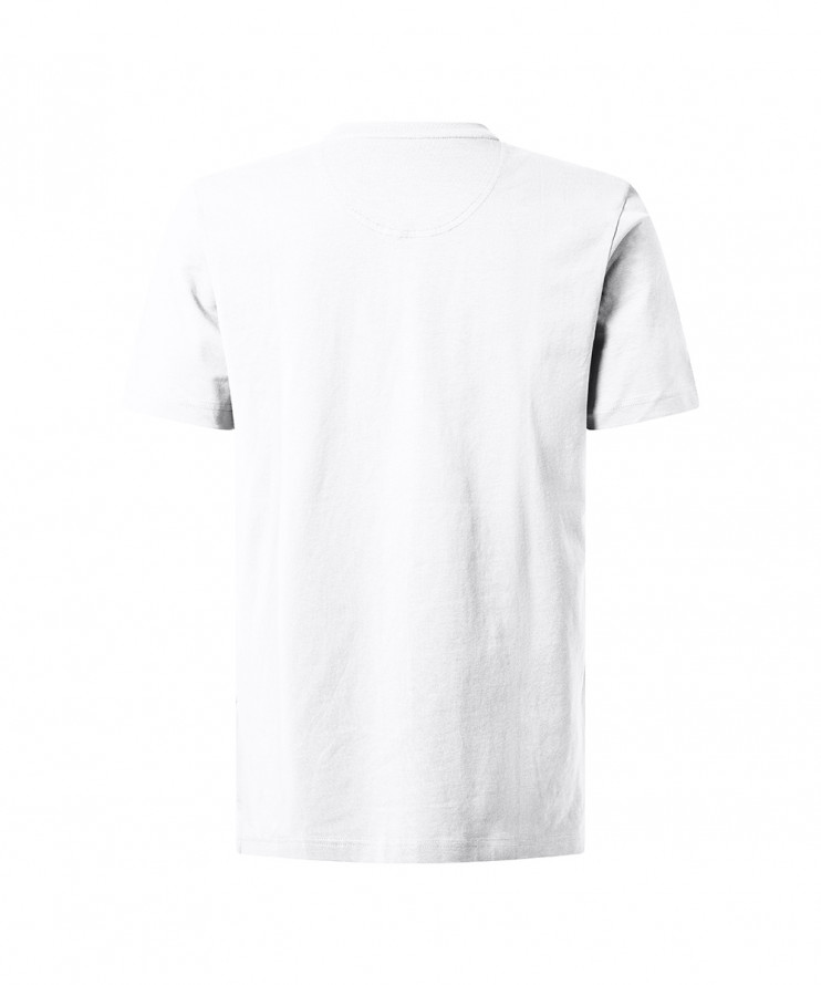 Мужская футболка короткий рукав  C5 21450.2120/1010