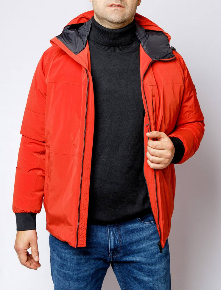 Мужская короткая куртка PIERRE CARDIN C8 10093.0034/4111