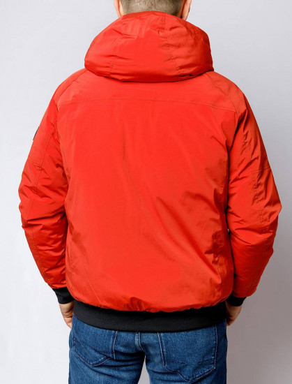 Мужская короткая куртка PIERRE CARDIN C8 10093.0034/4111