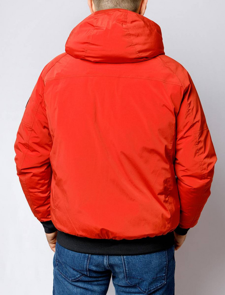 Мужская короткая куртка PIERRE CARDIN C8 10093.0034/4111