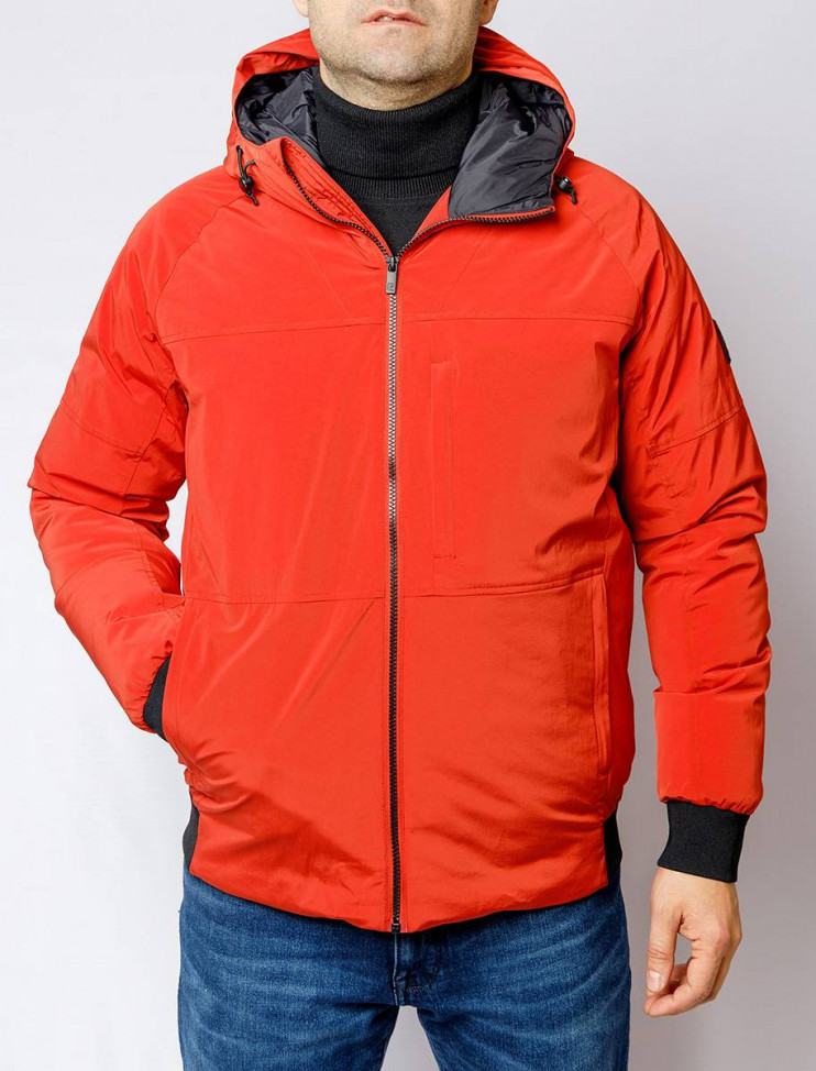 Мужская короткая куртка PIERRE CARDIN C8 10093.0034/4111