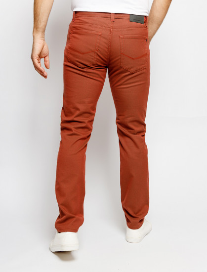 Мужские брюки  PIERRE CARDIN C3 34540.4200/4200