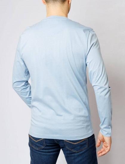 Мужская футболка длинный рукав  C5 30250.3025/6115