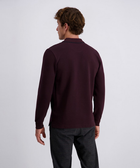 Мужское поло длинный рукав  C5 30775.3072/4313