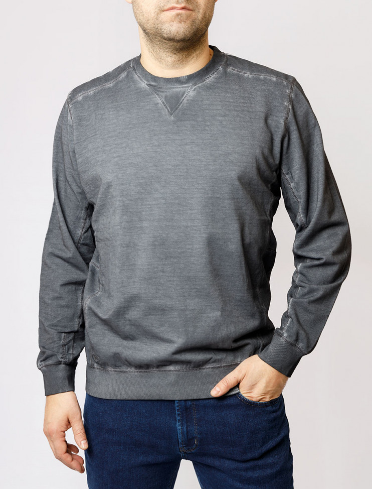 Мужская толстовка Pioneer P1 30001/9863