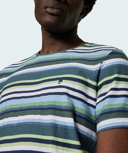 Мужская футболка короткий рукав  C5 21130.2087/5024