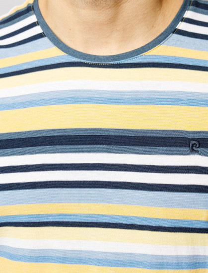 Мужская футболка короткий рукав  C5 21130.2087/2110