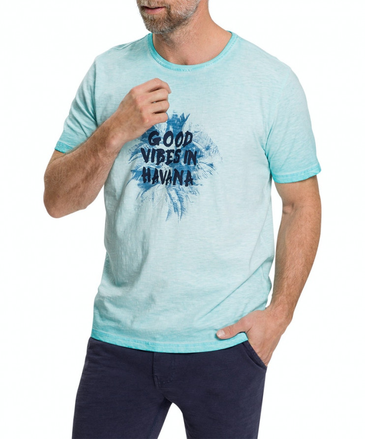 Мужская футболка короткий рукав_P1 60014/6865