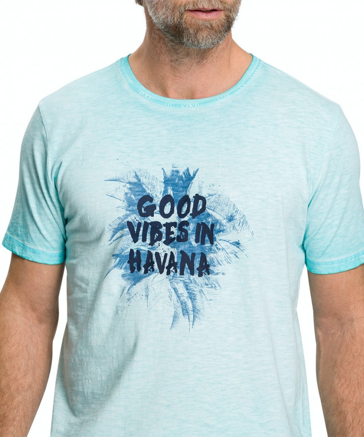 Мужская футболка короткий рукав_P1 60014/6865