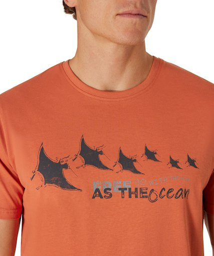 Мужская футболка короткий рукав Pioneer P1 60085.2000/3209