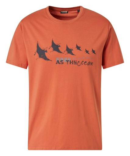 Мужская футболка короткий рукав Pioneer P1 60085.2000/3209