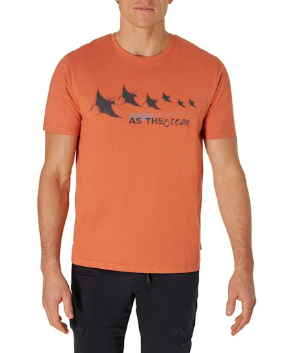 Мужская футболка короткий рукав Pioneer P1 60085.2000/3209