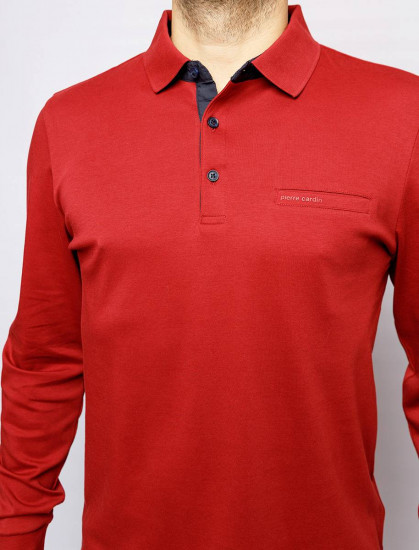 Мужское поло длинный рукав  C5 30304.3005/4221