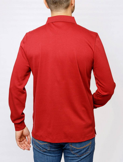 Мужское поло длинный рукав  C5 30304.3005/4221