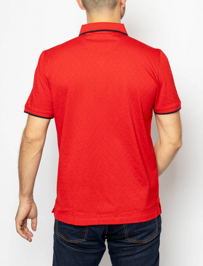 Мужское поло короткий рукав  C5 21274.2098/4103