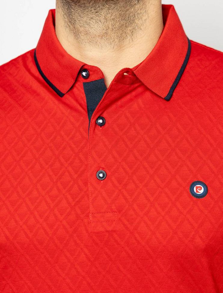 Мужское поло короткий рукав  C5 21274.2098/4103