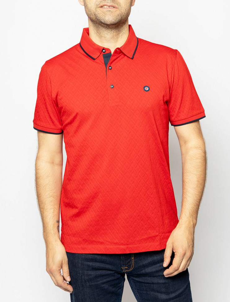 Мужское поло короткий рукав  C5 21274.2098/4103