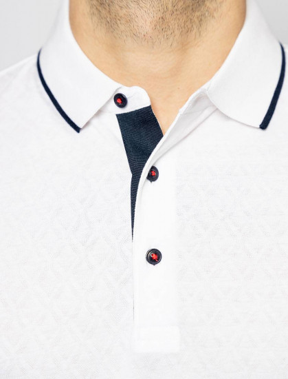 Мужское поло короткий рукав  C5 21274.2098/1019