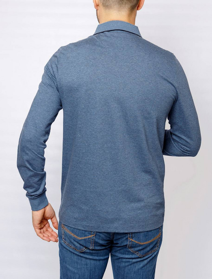 Мужское поло длинный рукав  C5 30414.3036/6124