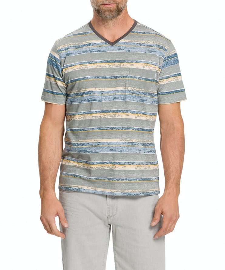 Мужская футболка короткий рукав_P1 60024/9711