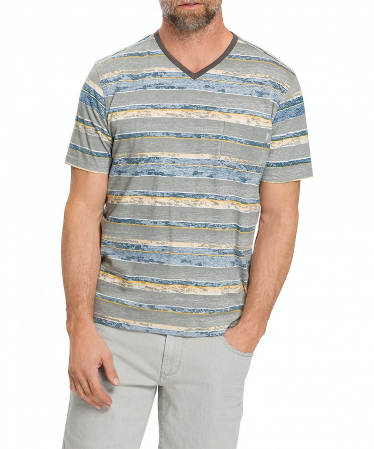 Мужская футболка короткий рукав_P1 60024/9711