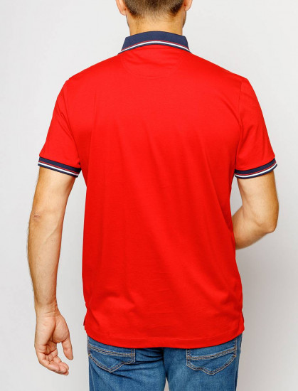 Мужское поло короткий рукав  C5 21284.2034/4103