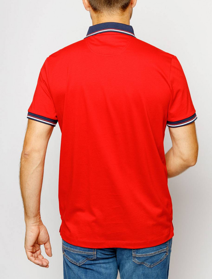 Мужское поло короткий рукав  C5 21284.2034/4103