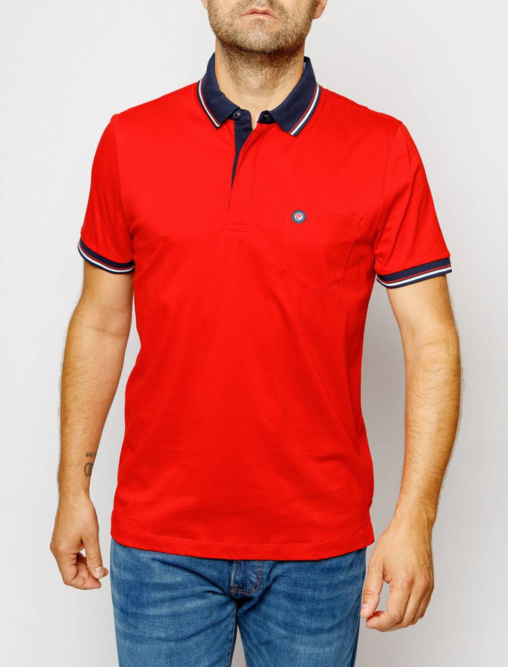 Мужское поло короткий рукав  C5 21284.2034/4103