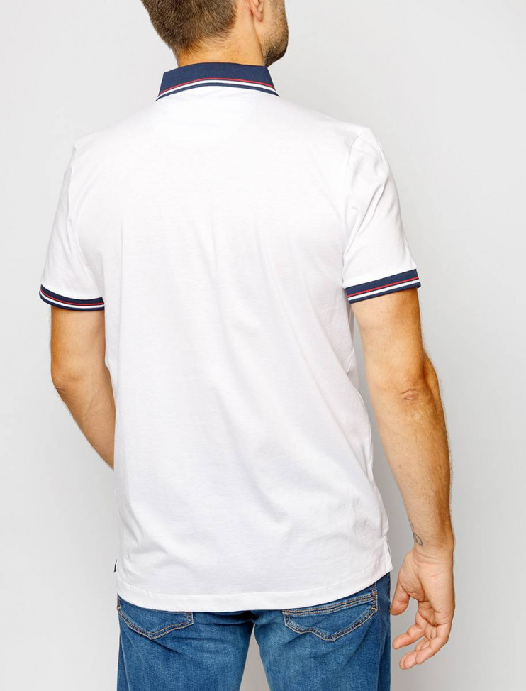 Мужское поло короткий рукав  C5 21284.2034/1019