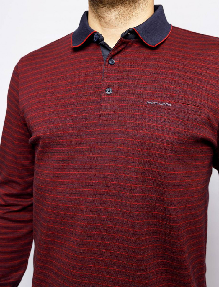 Мужское поло длинный рукав  C5 30314.3026/4301