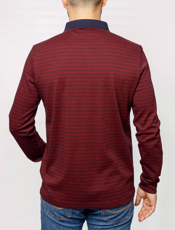 Мужское поло длинный рукав  C5 30314.3026/4301