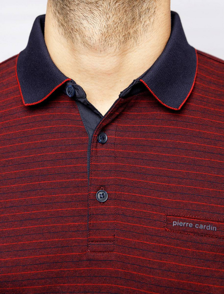 Мужское поло длинный рукав  C5 30314.3026/4301