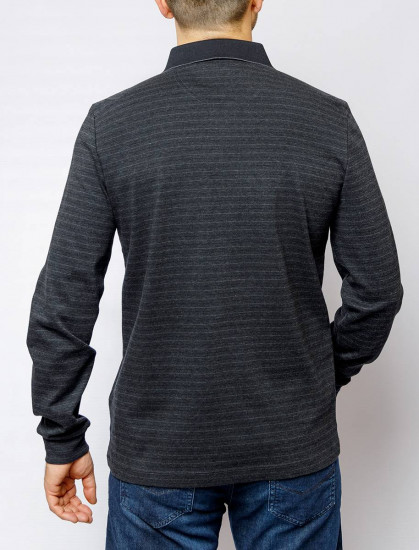 Мужское поло длинный рукав  C5 30314.3026/9000