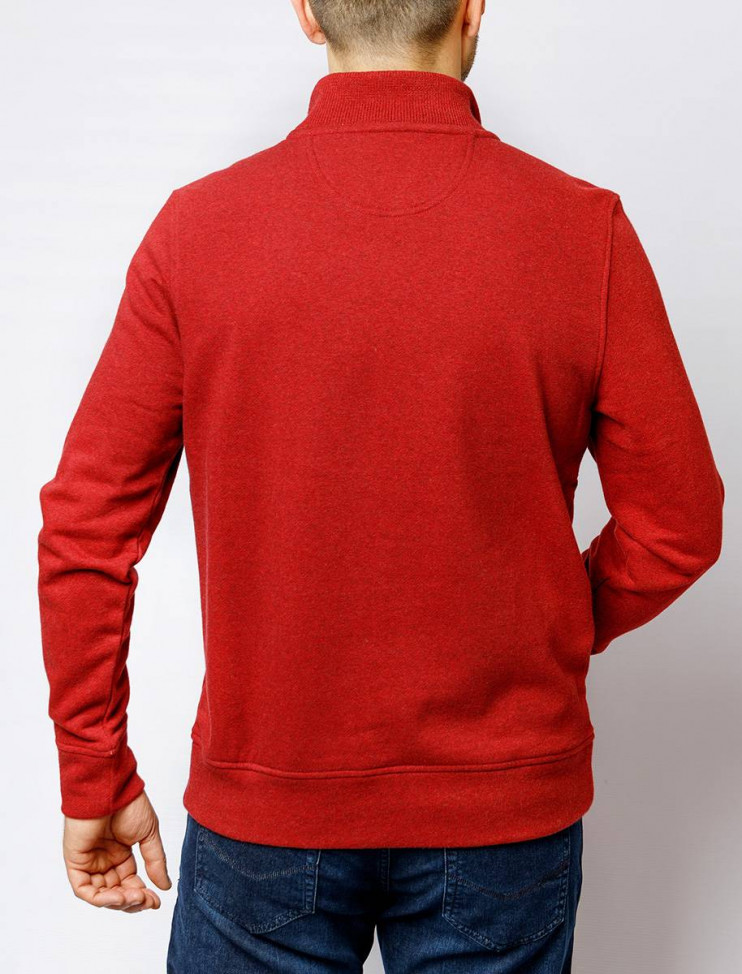 Мужская толстовка  C5 40342.4022/4221