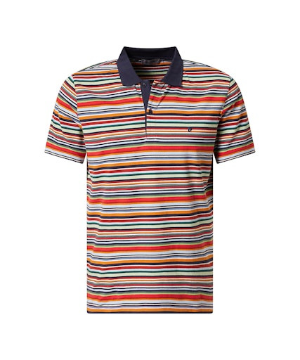 Мужское поло короткий рукав  C5 21034.2080/4103