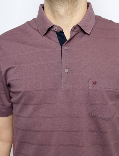 Мужское поло короткий рукав  C5 21524.2123/7209